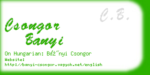 csongor banyi business card